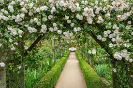 English Garden- Vanilla & Rose